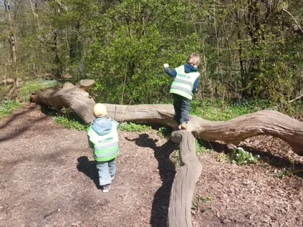 Rörelse träning i skogen